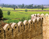 Ramparts and Mustard Field